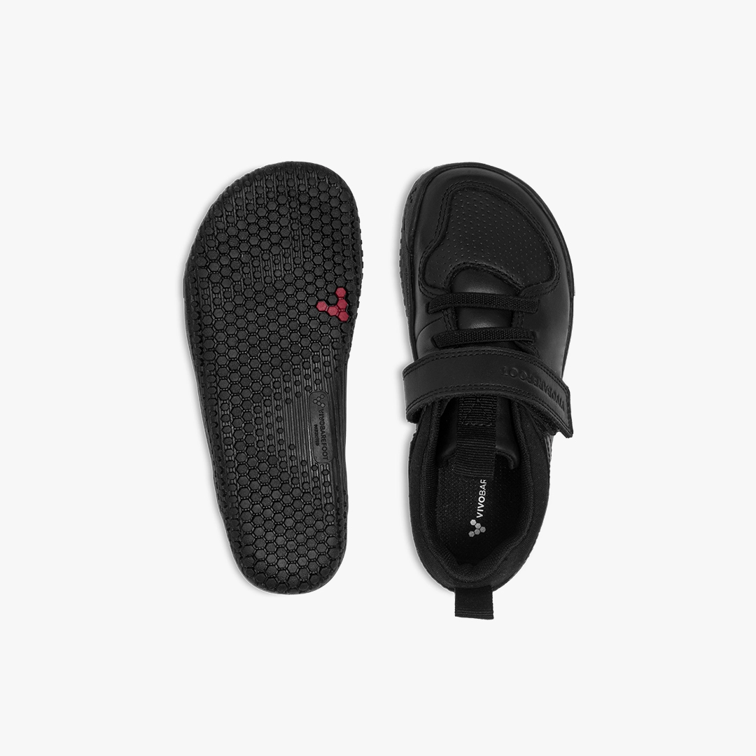 Primus Ludo School Preschool Obsidian